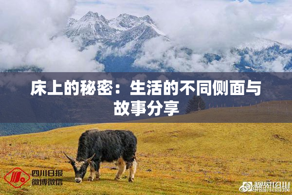 床上的秘密：生活的不同侧面与故事分享