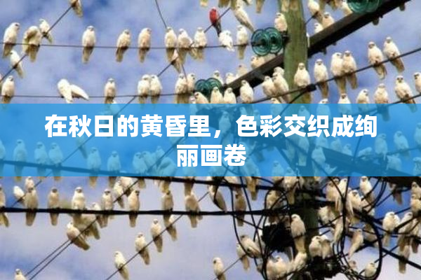 在秋日的黄昏里，色彩交织成绚丽画卷