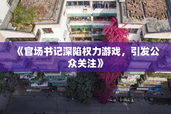 《官场书记深陷权力游戏，引发公众关注》
