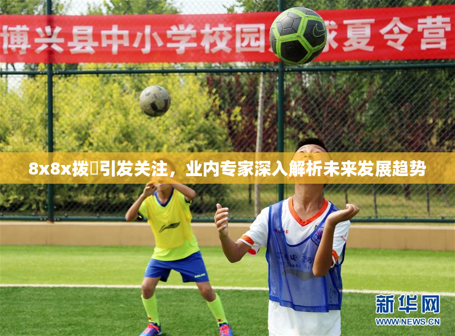 8x8x拨牐引发关注，业内专家深入解析未来发展趋势