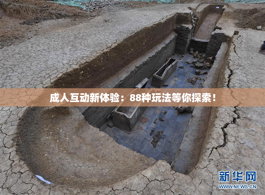成人互动新体验：88种玩法等你探索！