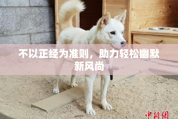 不以正经为准则，助力轻松幽默新风尚