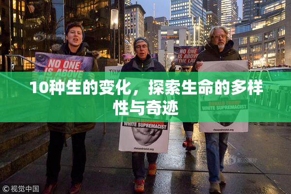 10种生的变化，探索生命的多样性与奇迹