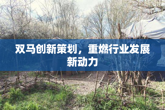 双马创新策划，重燃行业发展新动力