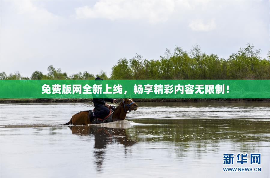 免费版网全新上线，畅享精彩内容无限制！