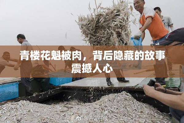 青楼花魁被肉，背后隐藏的故事震撼人心