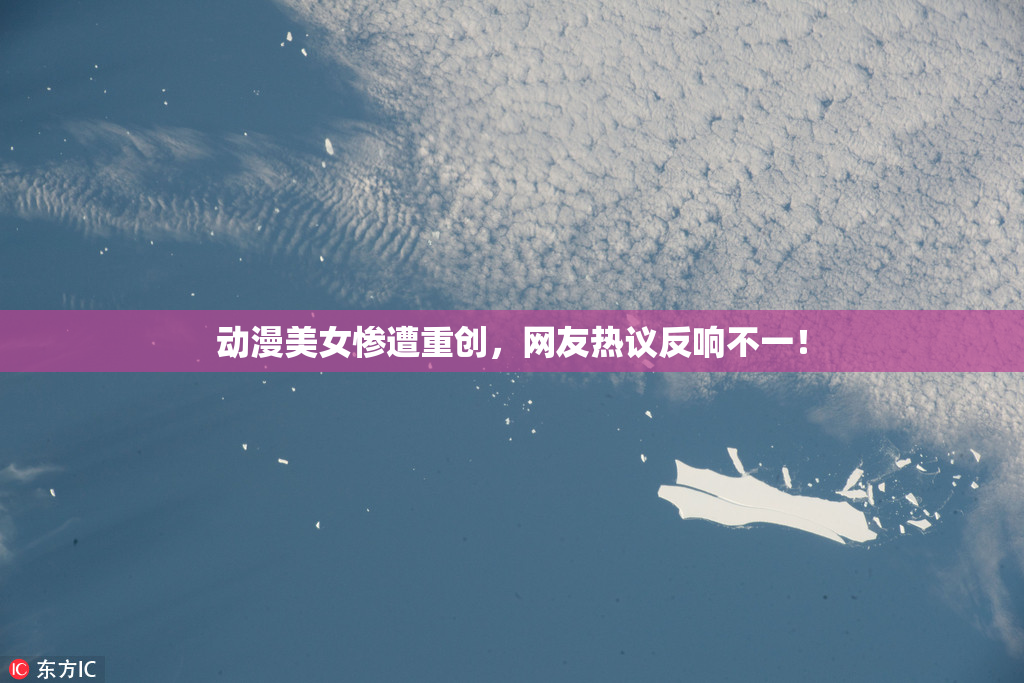 动漫美女惨遭重创，网友热议反响不一！