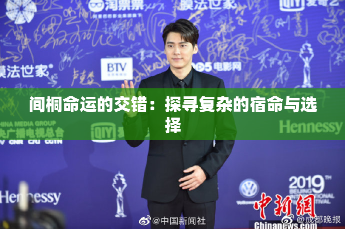 间桐命运的交错：探寻复杂的宿命与选择