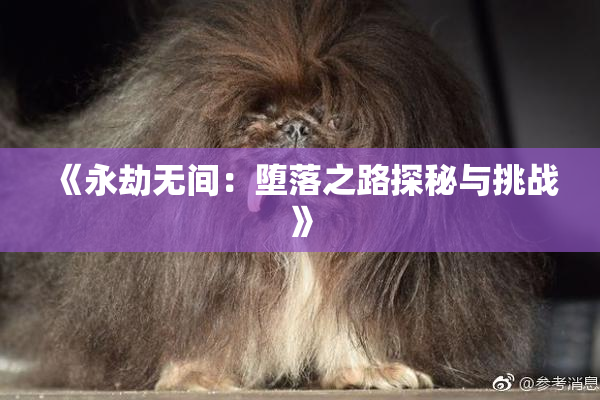 《永劫无间：堕落之路探秘与挑战》