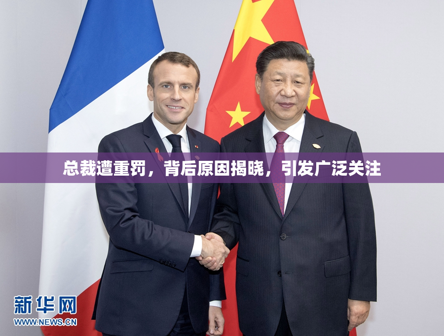 总裁遭重罚，背后原因揭晓，引发广泛关注