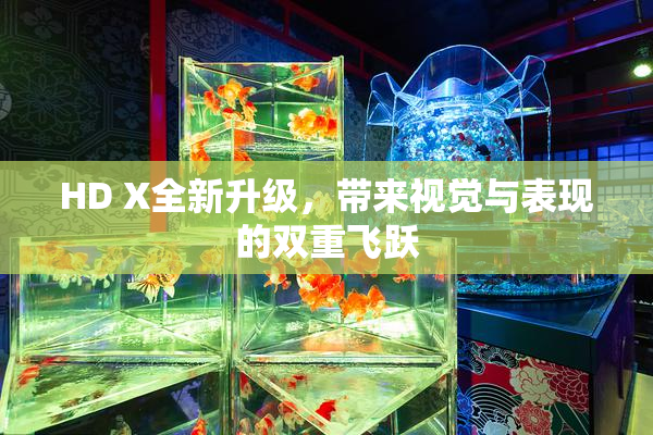 HD X全新升级，带来视觉与表现的双重飞跃