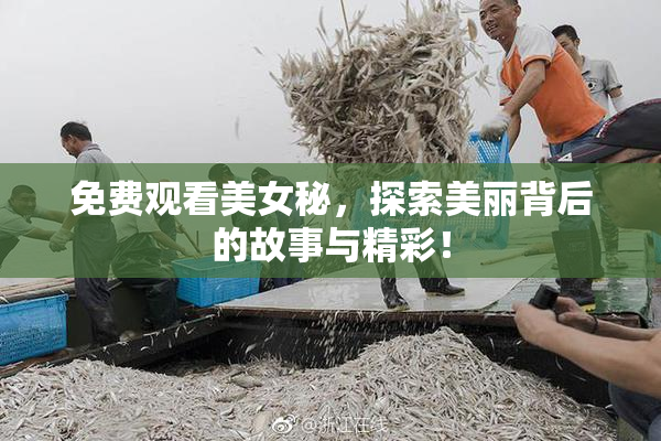 免费观看美女秘，探索美丽背后的故事与精彩！