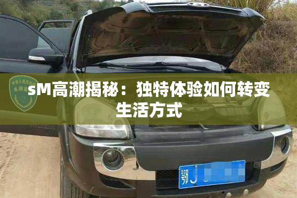 sM高潮揭秘：独特体验如何转变生活方式