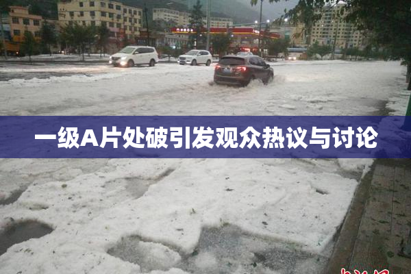 一级A片处破引发观众热议与讨论