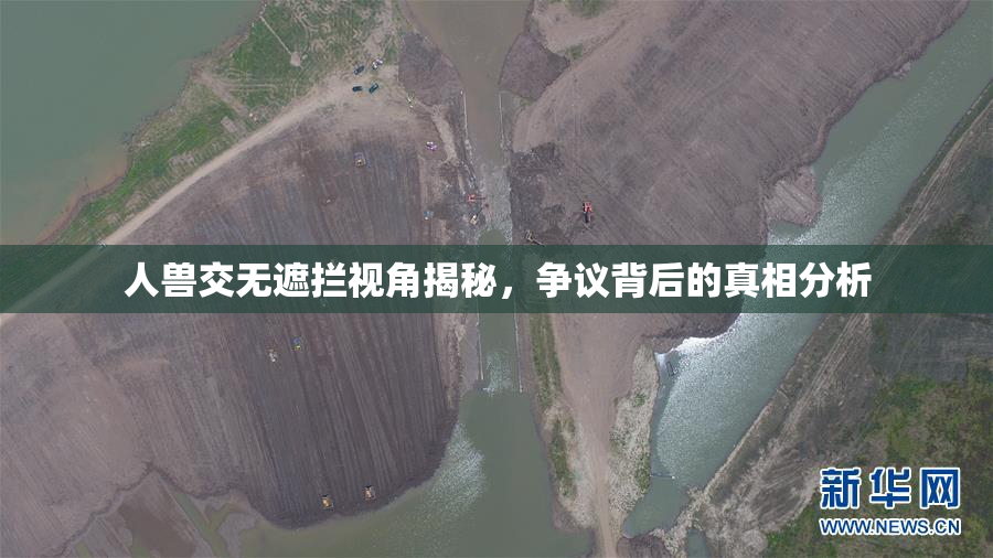 人兽交无遮拦视角揭秘，争议背后的真相分析