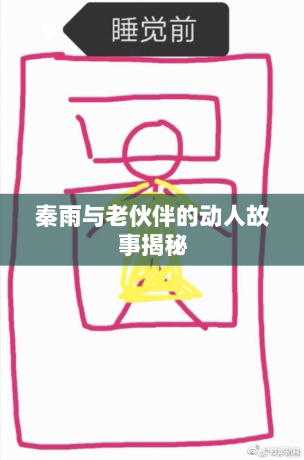 秦雨与老伙伴的动人故事揭秘