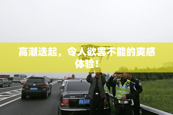 高潮迭起，令人欲罢不能的爽感体验！