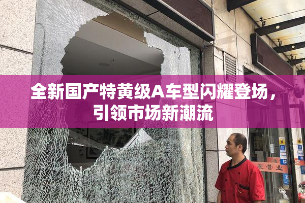 全新国产特黄级A车型闪耀登场，引领市场新潮流