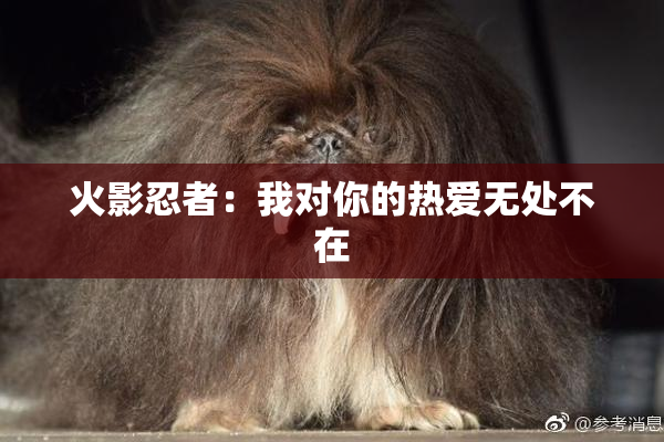 火影忍者：我对你的热爱无处不在