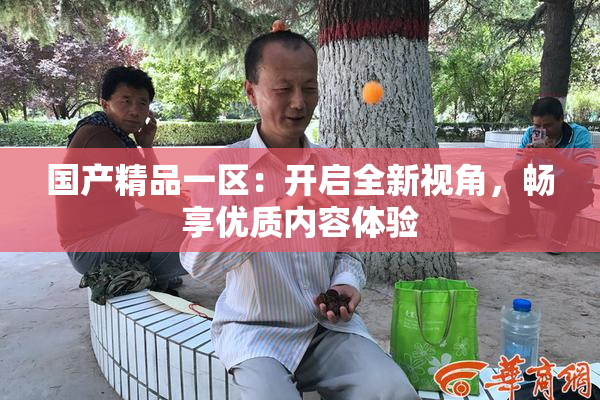 国产精品一区：开启全新视角，畅享优质内容体验