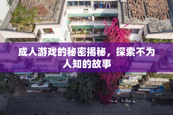 成人游戏的秘密揭秘，探索不为人知的故事