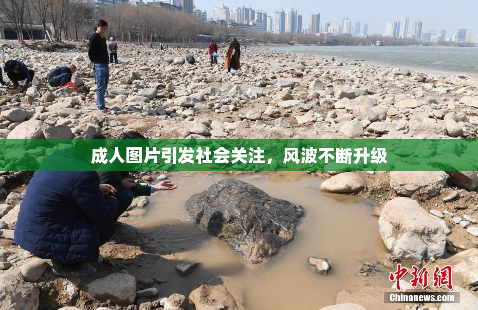 成人图片引发社会关注，风波不断升级