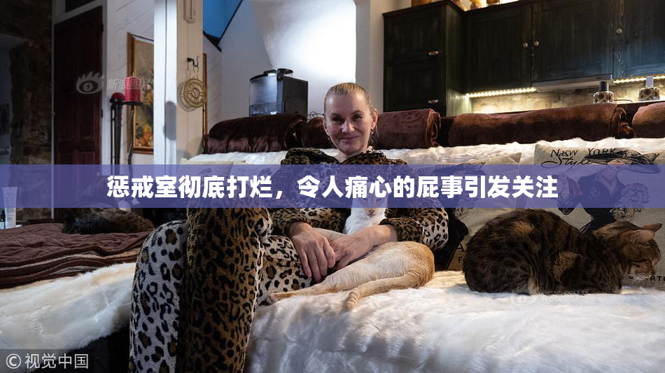 惩戒室彻底打烂，令人痛心的屁事引发关注