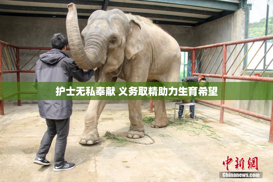 护士无私奉献 义务取精助力生育希望