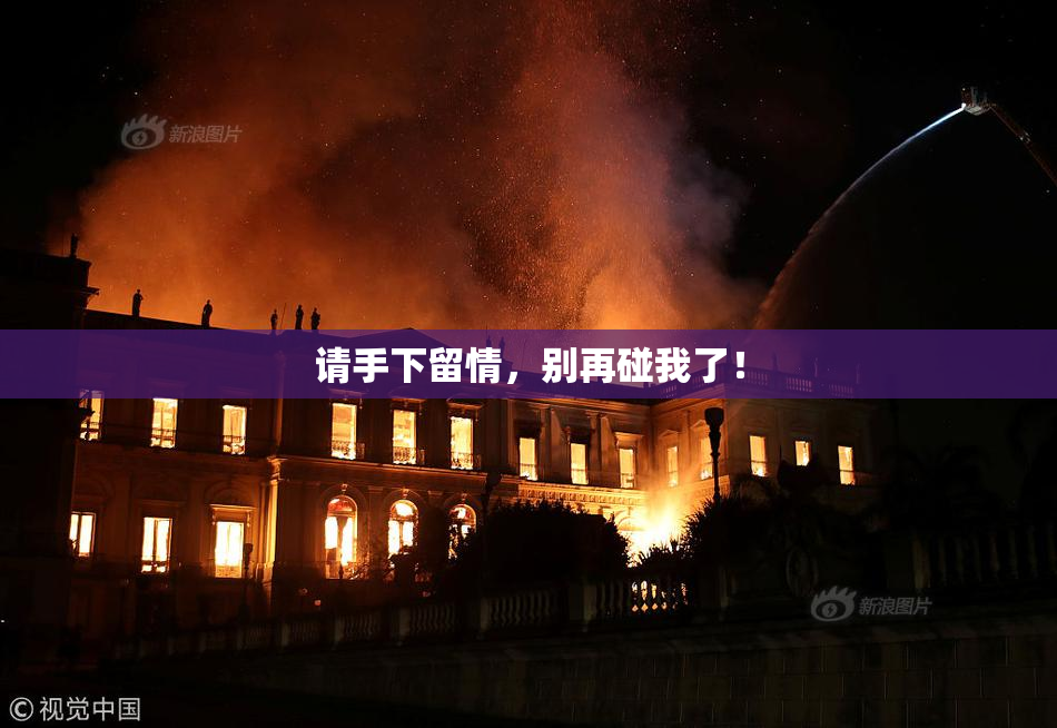请手下留情，别再碰我了！