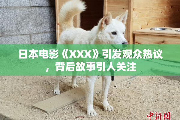 日本电影《XXX》引发观众热议，背后故事引人关注