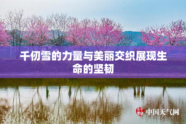 千仞雪的力量与美丽交织展现生命的坚韧