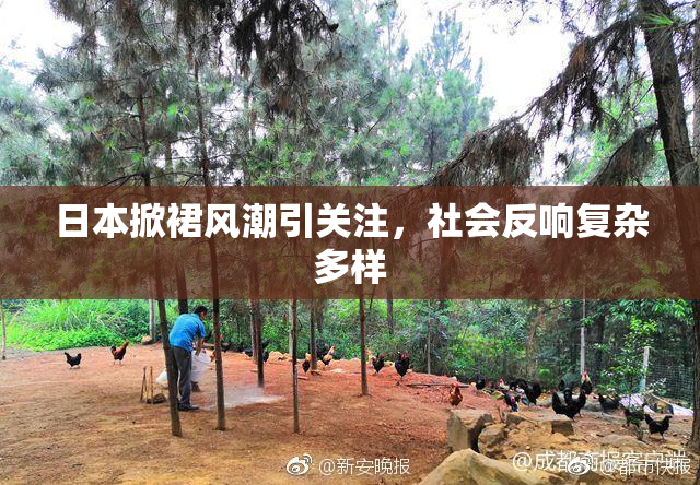 日本掀裙风潮引关注，社会反响复杂多样