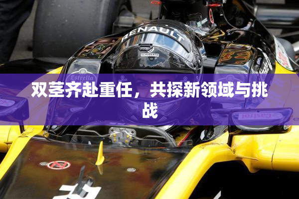 双茎齐赴重任，共探新领域与挑战