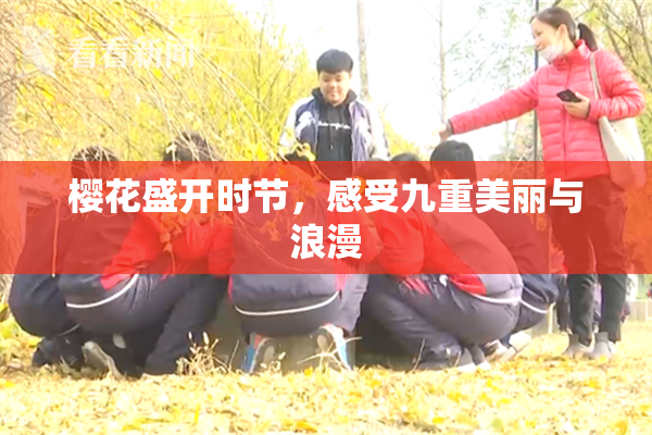 樱花盛开时节，感受九重美丽与浪漫