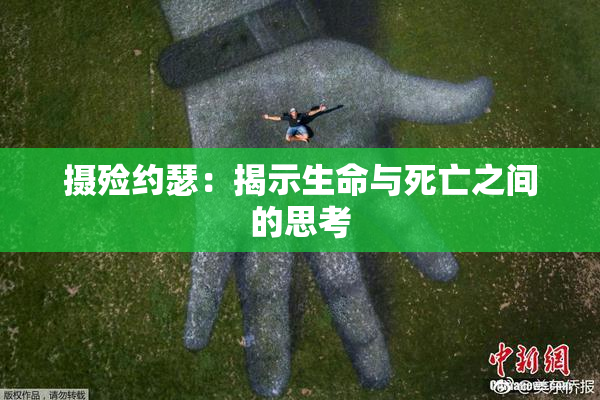 摄殓约瑟：揭示生命与死亡之间的思考