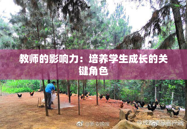 教师的影响力：培养学生成长的关键角色
