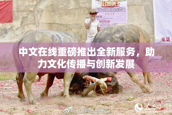 中文在线重磅推出全新服务，助力文化传播与创新发展