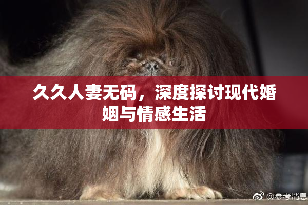 久久人妻无码，深度探讨现代婚姻与情感生活