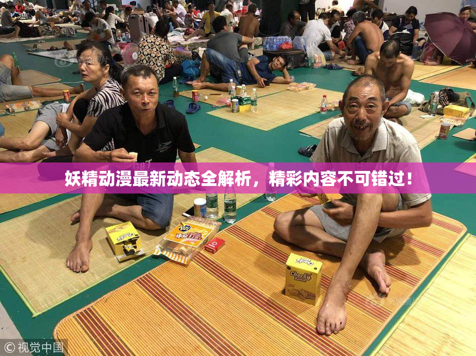 妖精动漫最新动态全解析，精彩内容不可错过！