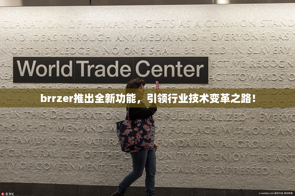 brrzer推出全新功能，引领行业技术变革之路！