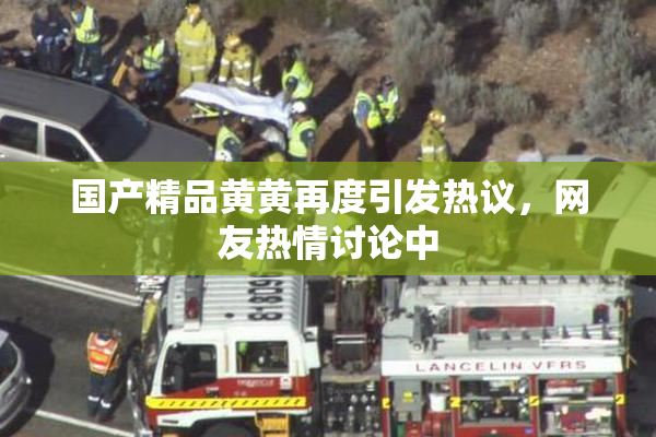 国产精品黄黄再度引发热议，网友热情讨论中