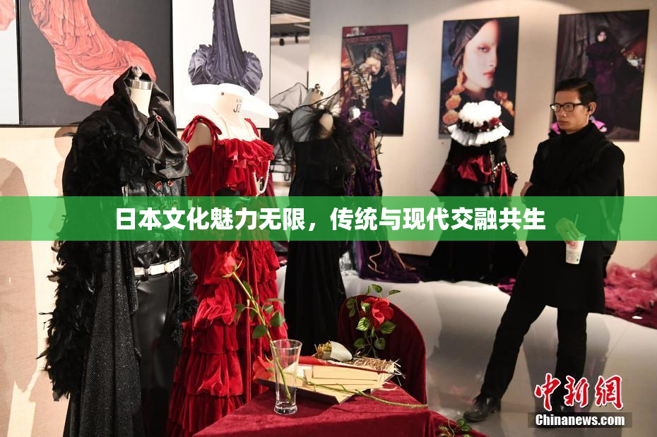 日本文化魅力无限，传统与现代交融共生