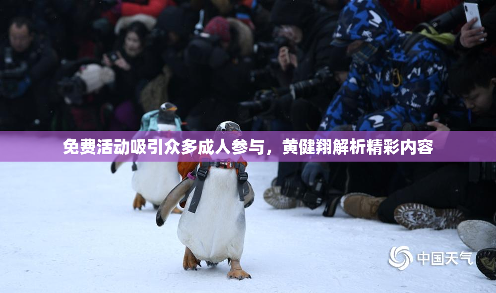 免费活动吸引众多成人参与，黄健翔解析精彩内容