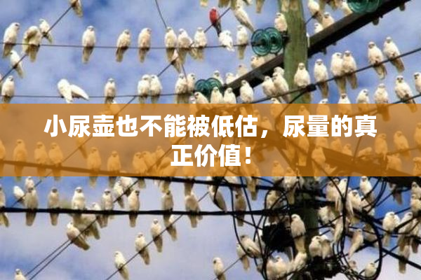 小尿壶也不能被低估，尿量的真正价值！