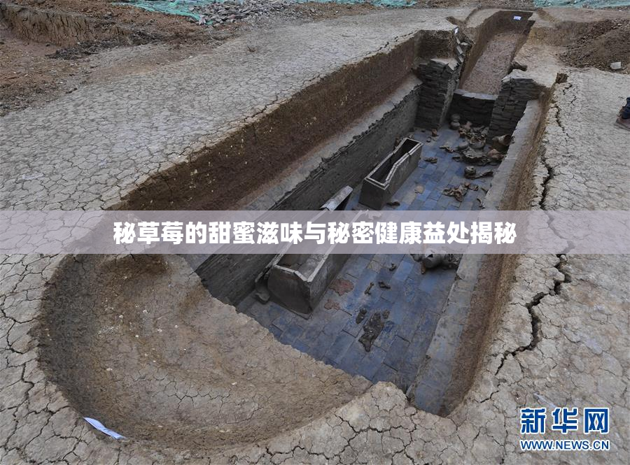 秘草莓的甜蜜滋味与秘密健康益处揭秘