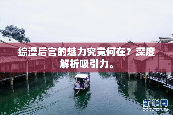 综漫后宫的魅力究竟何在？深度解析吸引力。
