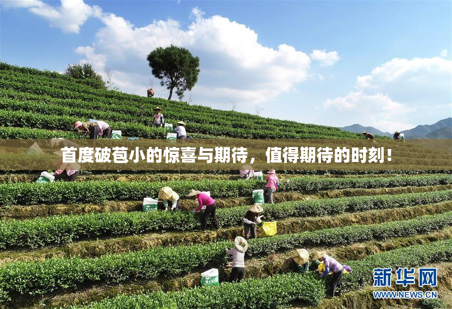首度破苞小的惊喜与期待，值得期待的时刻！