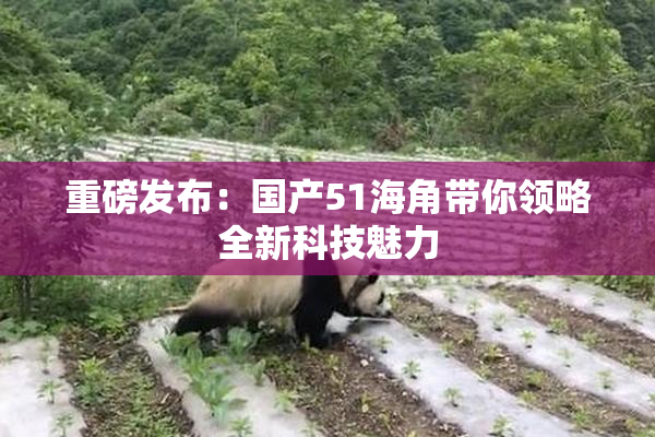 重磅发布：国产51海角带你领略全新科技魅力