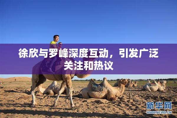 徐欣与罗峰深度互动，引发广泛关注和热议