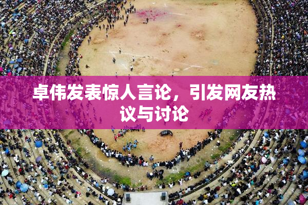 卓伟发表惊人言论，引发网友热议与讨论
